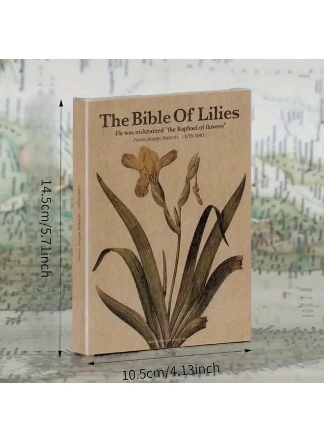 Vintage Kraft Postcard Pack 50pcs Retro Cards With Golden Accents Style1 Style2 - Image 5