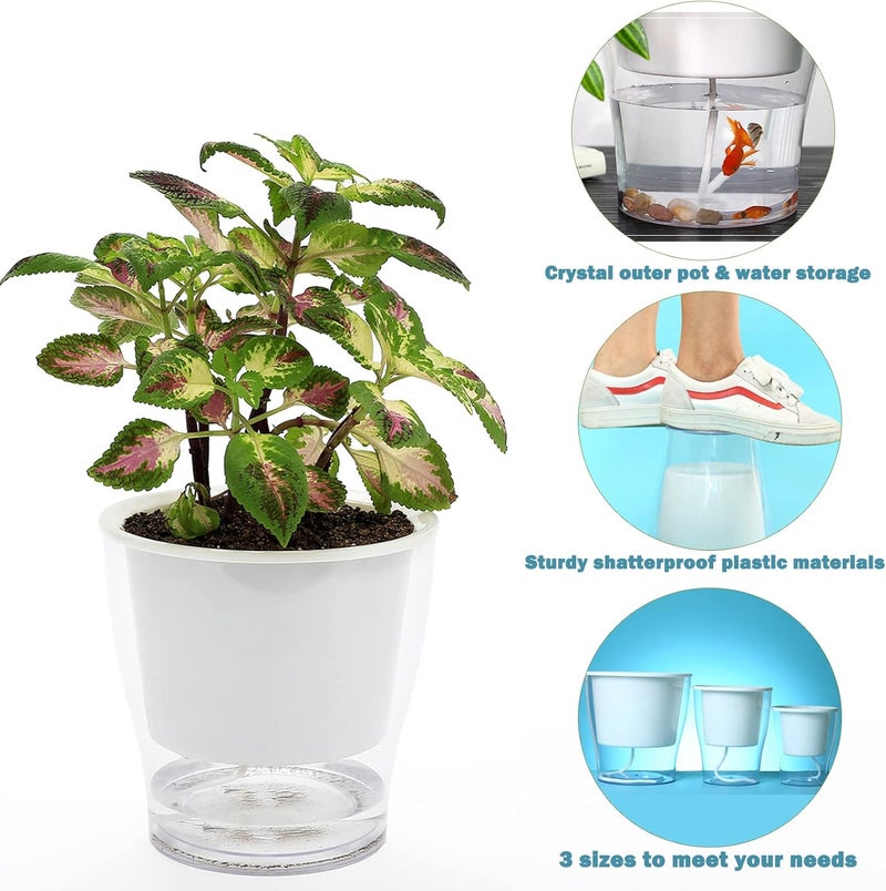 DeELF Outlet 8-Pack 5.1” Clear Self-Watering Planters Medium African Violet Pots Plastic Wick Flower Plant Pots for Indoor Plants, Spider Plant, Clear Orchid Pot, Clear and White - Image 2