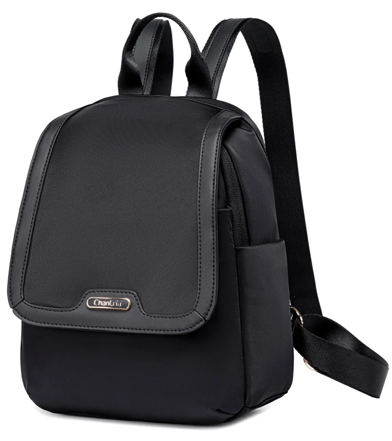 Chantria Premium Casual Backpack Water Resistant Multifunctional Anti-Theft Women Daypack with independent Laptop Compartment, CB00621, Black