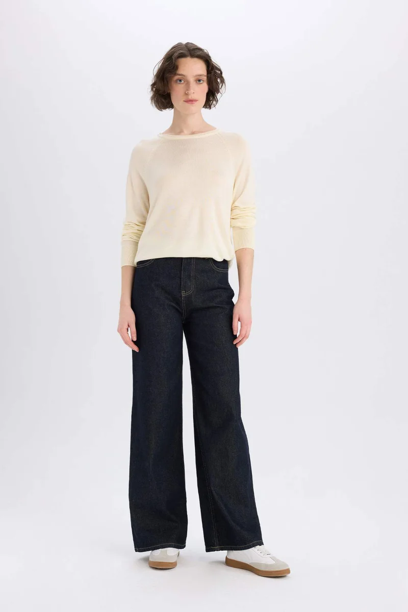 DeFacto Regular Fit Crew Neck Basic Knit Pullover
