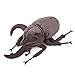 ZHONGXIN MADE Simulation Atlas Beetle Stuffed Plush Toy 10 Realistic Chalcosoma Atlas Animal Insect Soft Crustaceans Animals Model Unique Beetle Toys Model Dolls Gifts for Kids - Image 3
