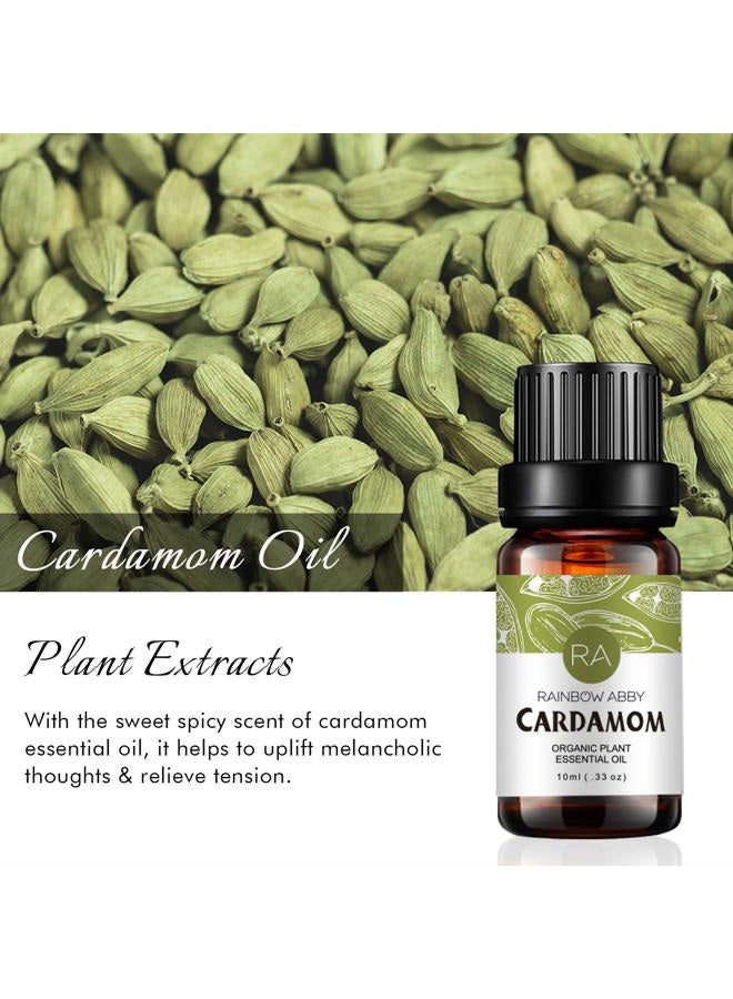 Rainbow Abby Hinoki, Cardamom, Douglas Fir Essential Oil Set - 100% Pure Grade Aromatherapy Woody Essential Oil - 3 x 10ml - Image 2