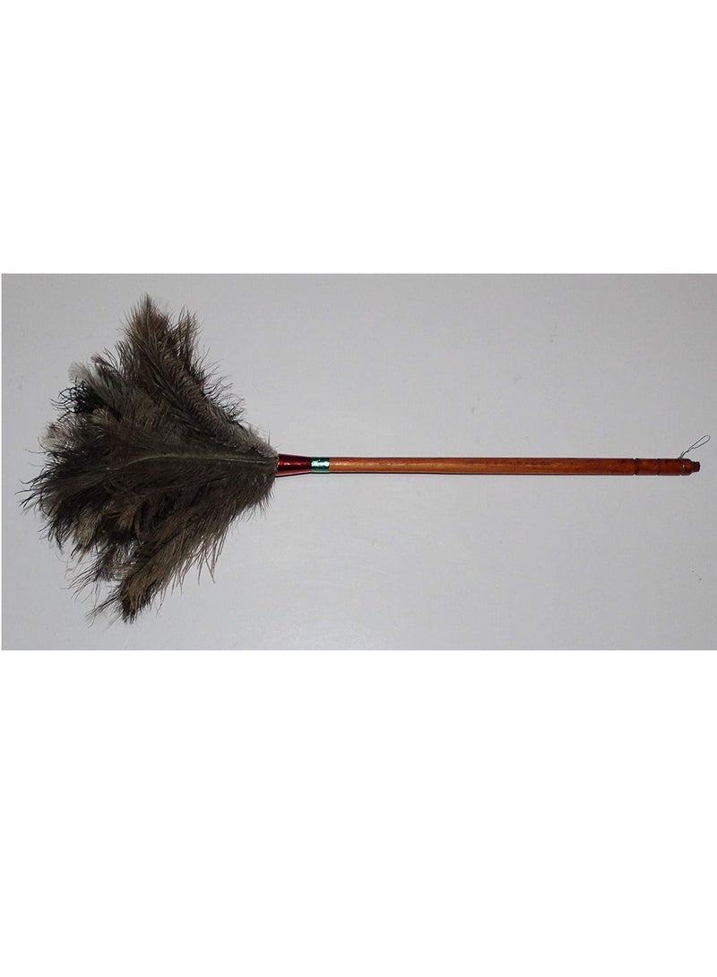 Ostrich Feather Brush to Clean Dust (60cm)