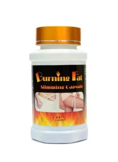 Fat burning capsules - 60 pcs