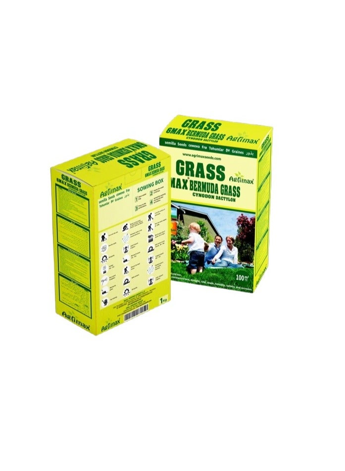 Generic Bermuda Grass Seeds for Lawn and Pasture cover 100 Meter  - Image 1