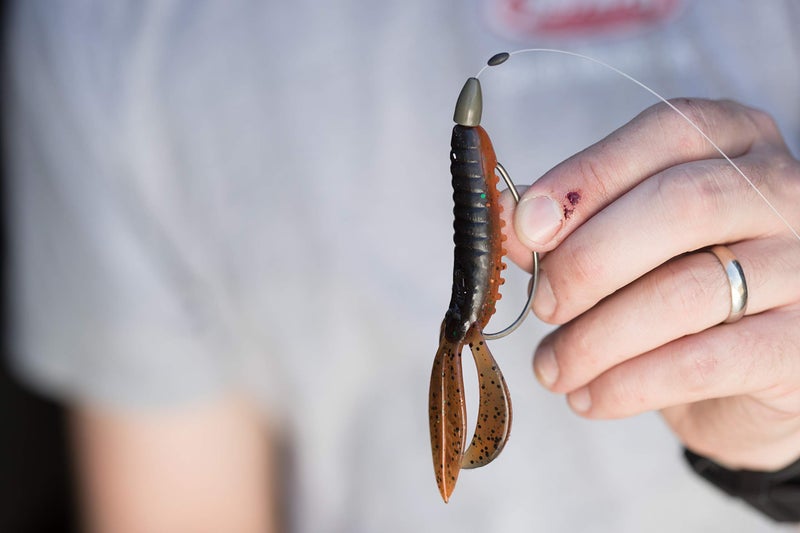 Berkley PowerBait Pit Boss Fishing Soft Bait - Image 4