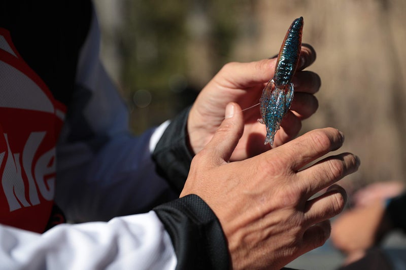 Berkley PowerBait Pit Boss Fishing Soft Bait - Image 3