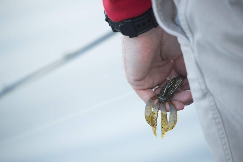 Berkley PowerBait Pit Boss Fishing Soft Bait - Image 2