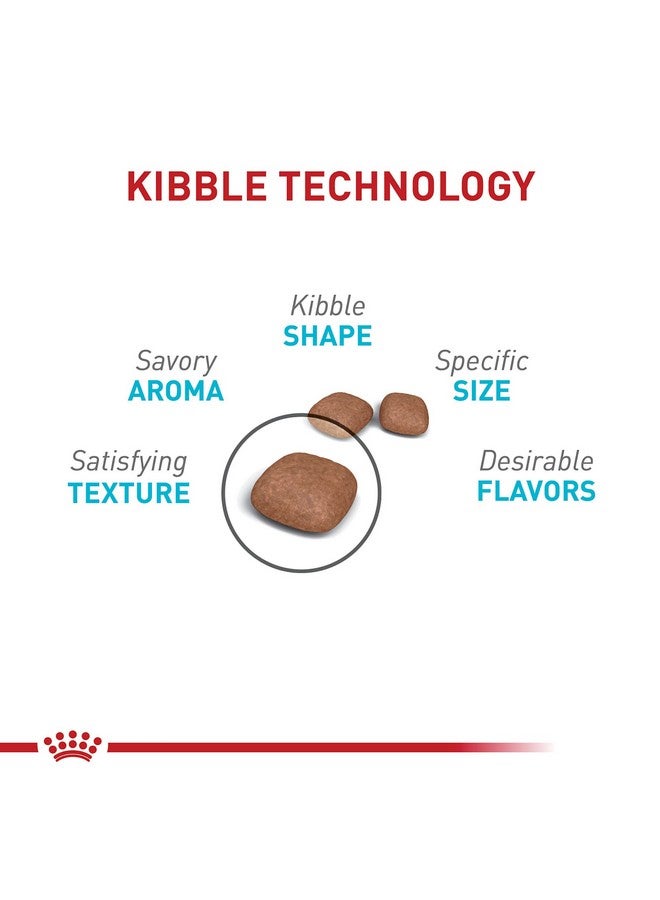 رويال كانين طعام القطط الجافة للبالغين من Feline Care Nutrition Urinary Care، كيس 6 رطل - Image 3