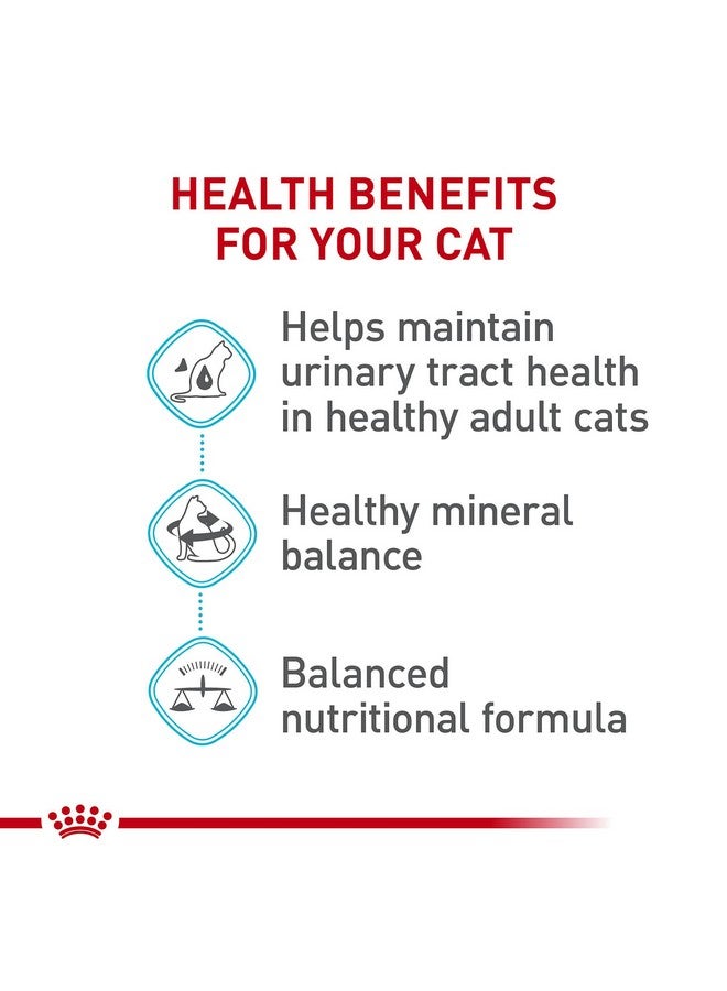 رويال كانين طعام القطط الجافة للبالغين من Feline Care Nutrition Urinary Care، كيس 6 رطل - Image 4