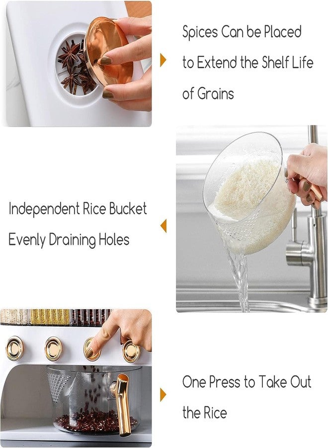 Meneflix Dry Food Dispenser, Rice Container, Bulk Food Storage, Grain Canisters - 6 Grid, Moisture Proof/Airtight Dry Food Storage Containers/Elegant Design For Home & Kitchen, White - Image 3
