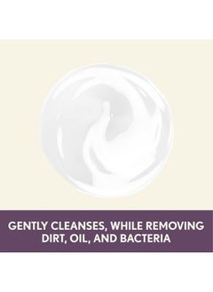 Aveeno Absolutely Ageless Nourishing Daily Facial Cleanser, Antioxidant-Rich Blackberry Extract, Non-Comedogenic Makeup-Removing Face Wash from Dermatologist-Recommended Brand, 5.2 fl. oz  - Image 2