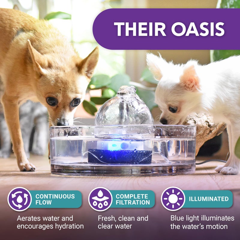 Brook Glass Pet Fountain (90oz/2.7L) â€“ Cat & Dog Water Fountain â€“ Glass Cat Fountain & Automatic Water Dispenser for Drinking - Image 2