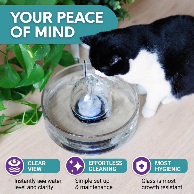 Brook Glass Pet Fountain (90oz/2.7L) â€“ Cat & Dog Water Fountain â€“ Glass Cat Fountain & Automatic Water Dispenser for Drinking - Image 3
