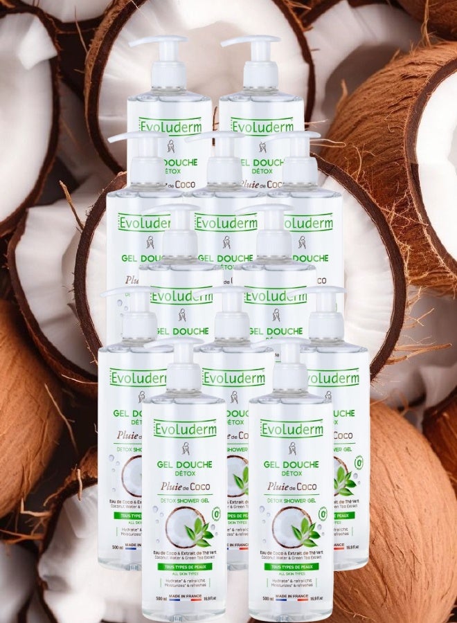 إيفو لوديرم 12 قطع جل الاستحمام إيفولوديرم بلوي دي كوكو ديتوكس 500مل - Image 1