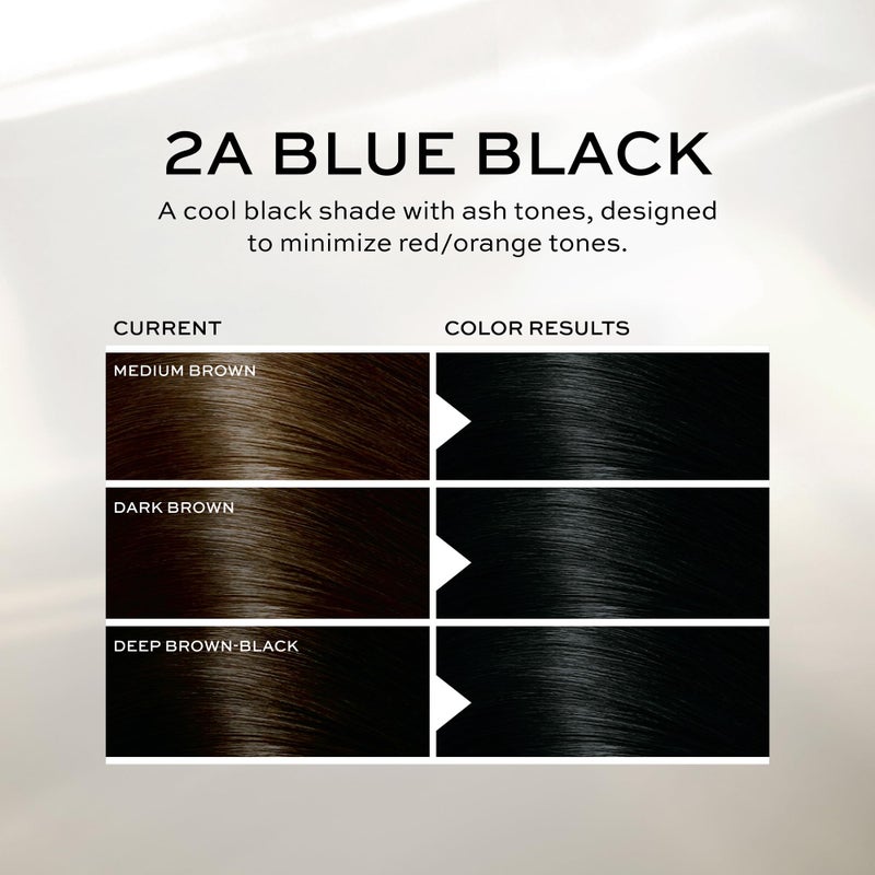 John Frieda Precision Foam Colour, Blue Black 2A, Full-coverage Hair Color Kit, Anti-Fade Gray Coverage, Deep Color Saturation Hair Dye, 1 Application - Image 4