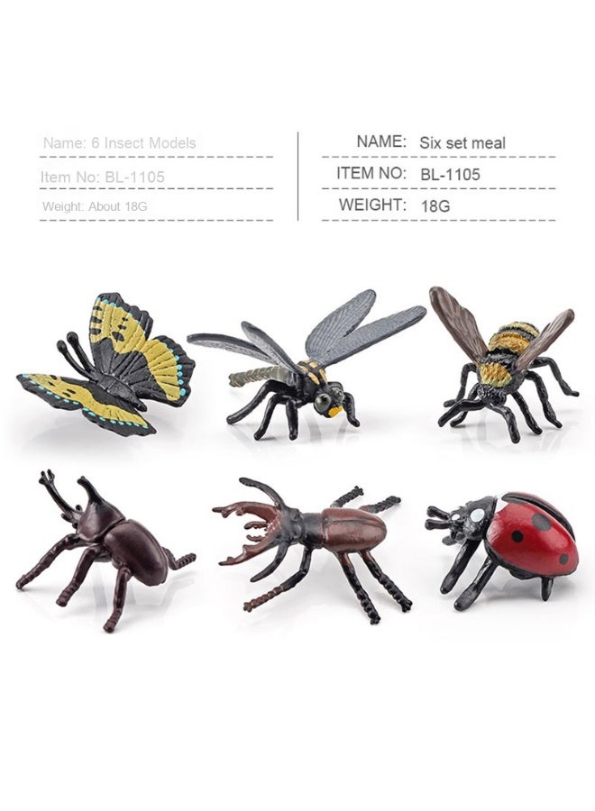 NIBEMINENT Realistic Forest Insect and Animal Models - Stag Beetle, Ladybug, Butterfly, Tarantula, and Stag Beetle Figurines and Toys