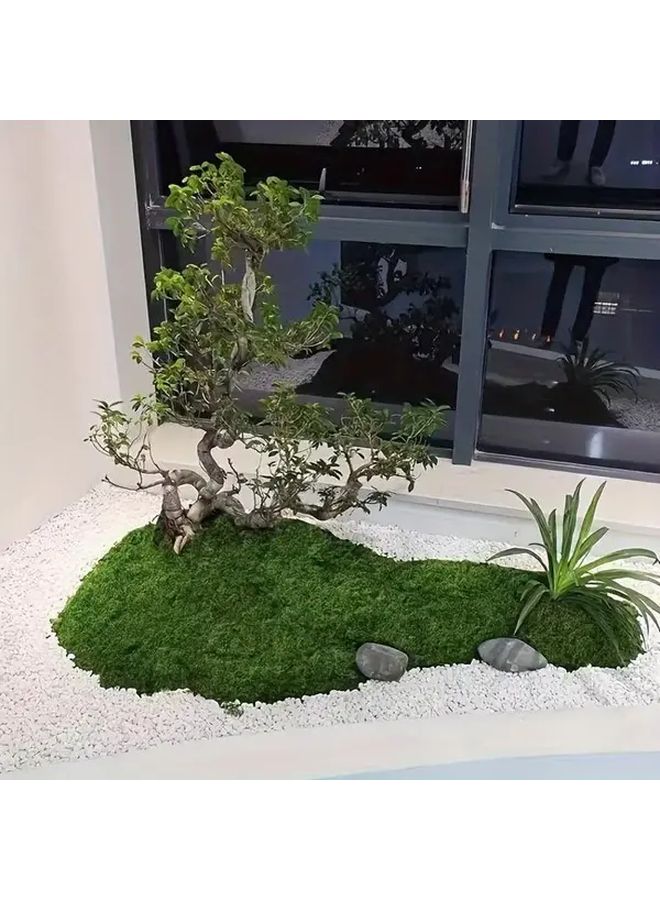قطعتان من نباتات الطحالب الصناعية الخضراء الداكنة في أصص لتزيين المنزل - Image 4