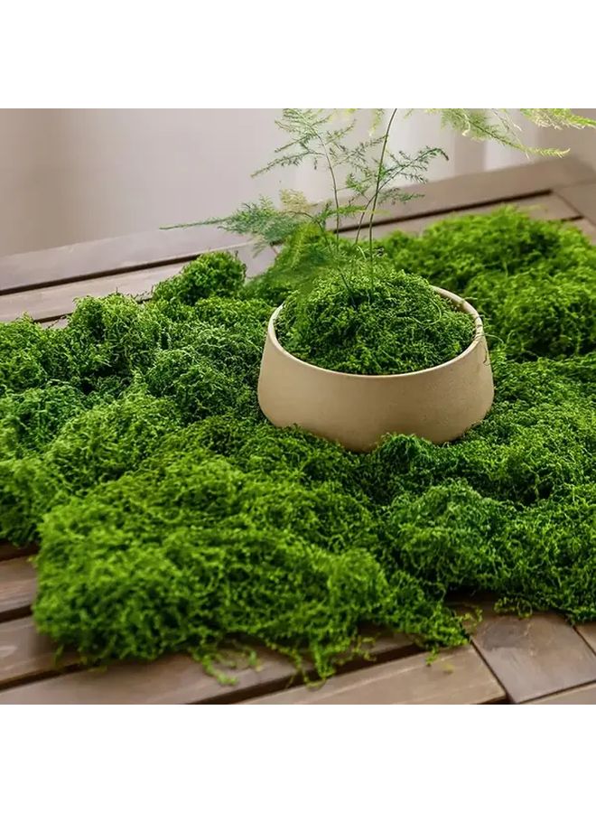 قطعتان من نباتات الطحالب الصناعية الخضراء الداكنة في أصص لتزيين المنزل - Image 5