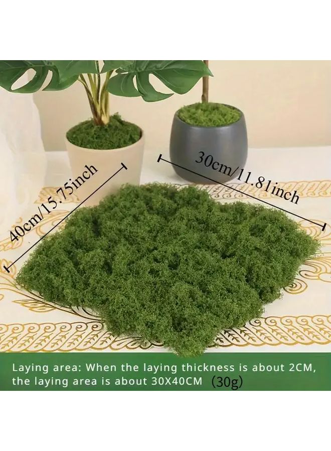 قطعتان من نباتات الطحالب الصناعية الخضراء الداكنة في أصص لتزيين المنزل - Image 3