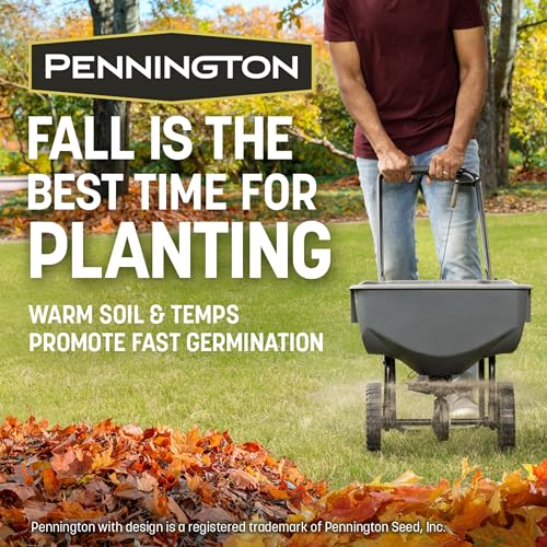 Pennington The Rebels Tall Fescue Grass Seed Mix 7 lb - Image 3