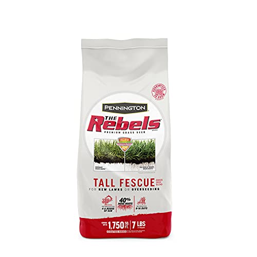 Pennington The Rebels Tall Fescue Grass Seed Mix 7 lb - Image 1
