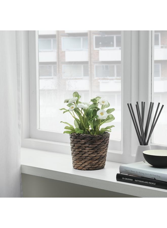 Zaboon Plant pot, water hyacinth/grey, 12 cm - Image 2