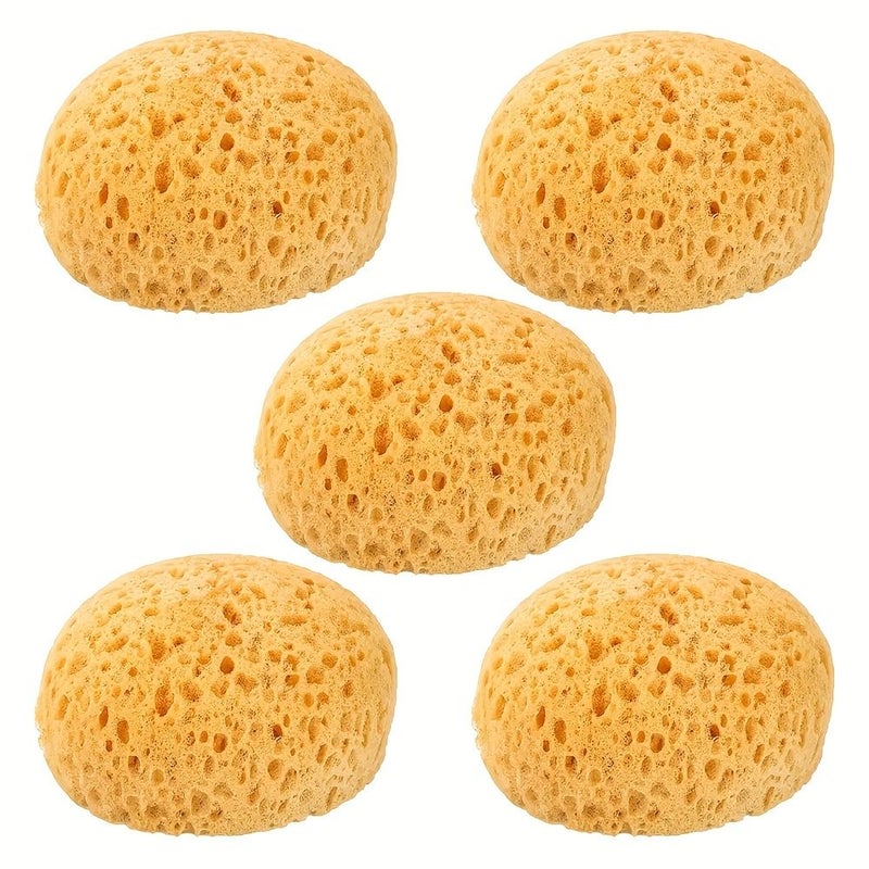 5 Pack Exfoliating Seaweed Sponge Body Scrub For Men And Women Honeycomb Bathing Sponge - Image 1