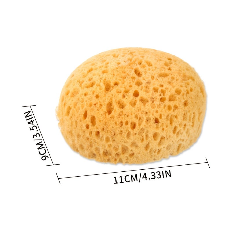 5 Pack Exfoliating Seaweed Sponge Body Scrub For Men And Women Honeycomb Bathing Sponge - Image 2