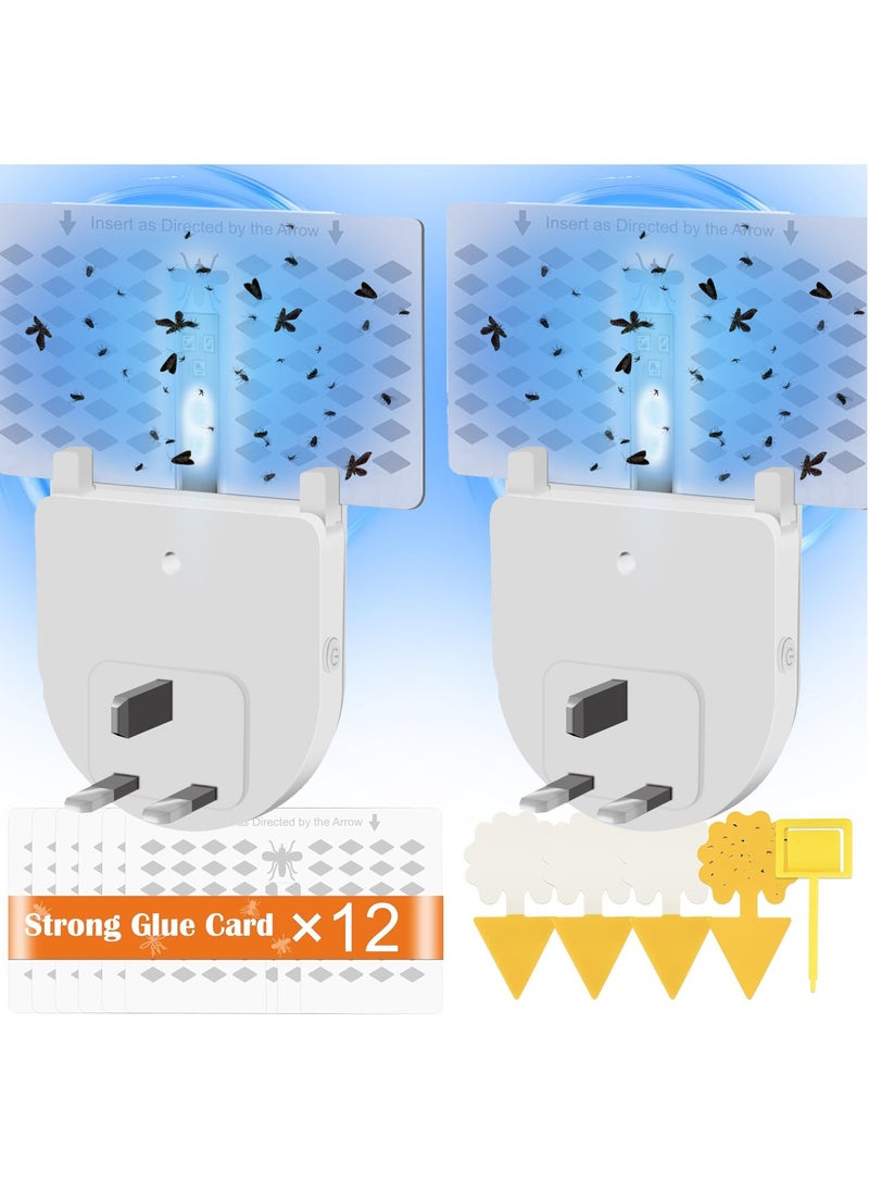 2 Devices 12 Sticky Cards Indoor Fly Trap, Fruit Fly Trap, Suitable for Indoor Use, With Night Light and UV Light, Can Catch Mosquitoes, Flies, Moths - Image 1