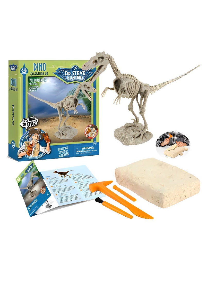 Dr. Steve Hunters - Skeleton Set 3D Fossil (Velociraptor Skeleton Model) High-Quality Educational Realistic and Science Kits Excavation Toys for Kids Museum Quality Replica Fun and Amazing Gift - Image 1