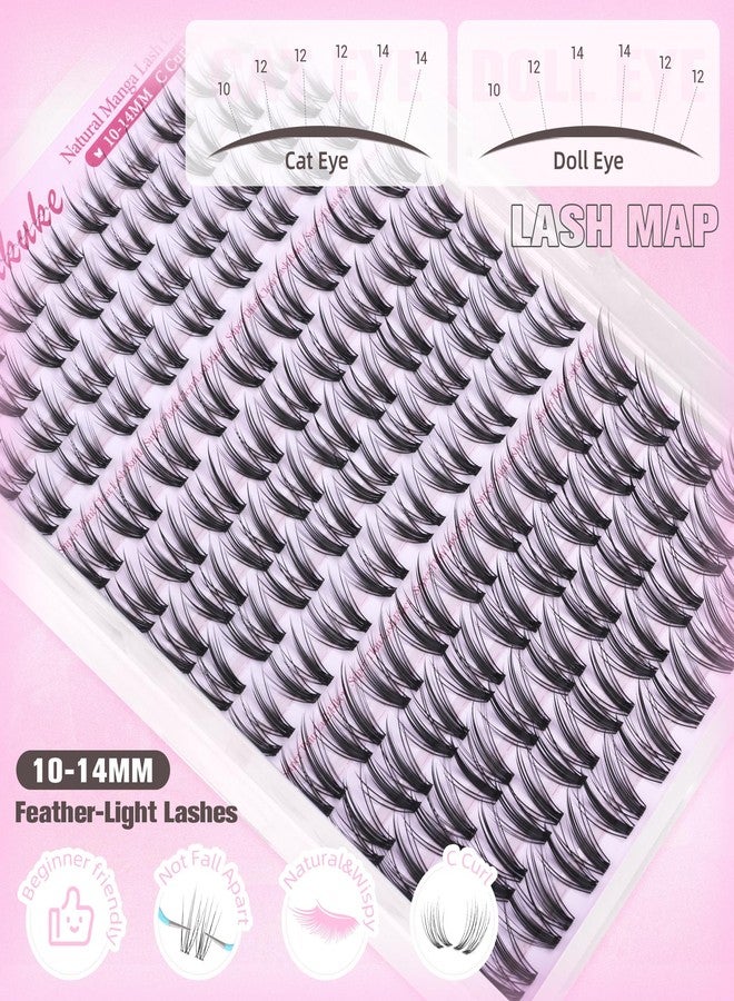 Boahankuke Manga Lash Clusters Natural Bunny Eyelash Clusters Wispy Cluster Eyelash Extensions 10-14MM Anime Individual Lashes C Curl Pestañas Postizas Naturales Fairy Lash Extension by Boahankuke - Image 5