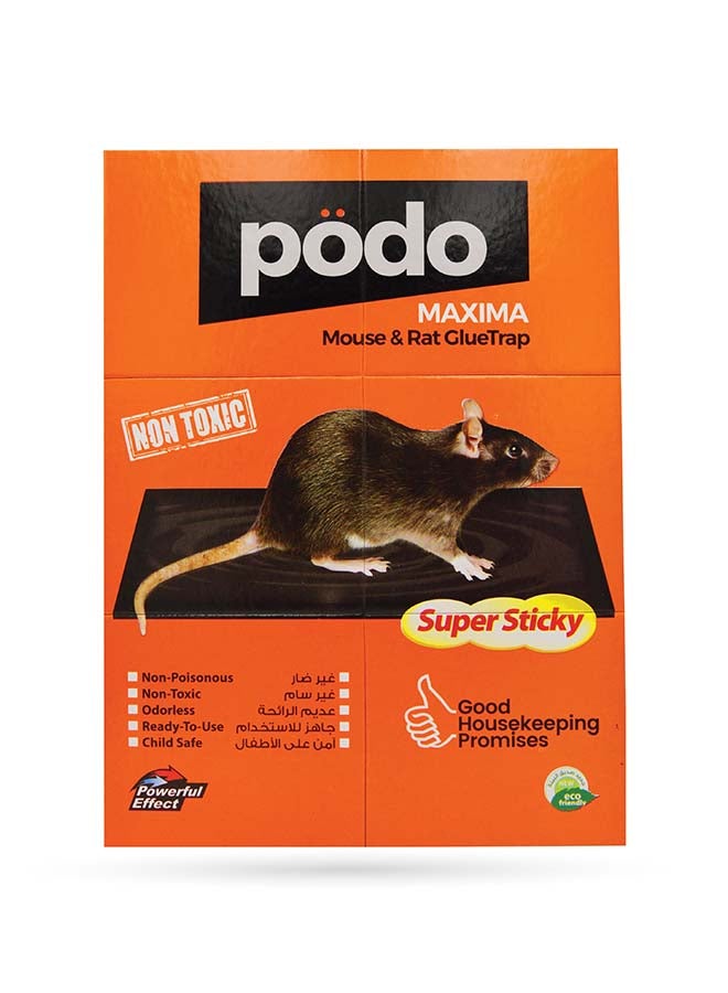 PODO مصيدة الغراء للفئران والجرذان ماكسيما - مكافحة القوارض في نهاية المطاف  - Image 1