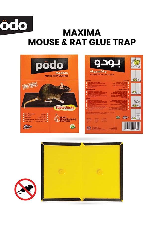 Rat and Mouse Glue Trap Maxima - Ultimate Rodent Control - pzsku/Z4E91879D77F23E6CACE9Z/45/_/1710512112/29d4d62d-0000-4fb2-bf1d-e19a89a93132