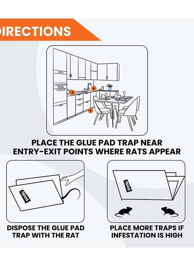 Rat and Mouse Glue Trap Maxima - Ultimate Rodent Control - pzsku/Z4E91879D77F23E6CACE9Z/45/_/1710512112/fbec66f0-1a02-4de0-97c2-7d1a7245f134