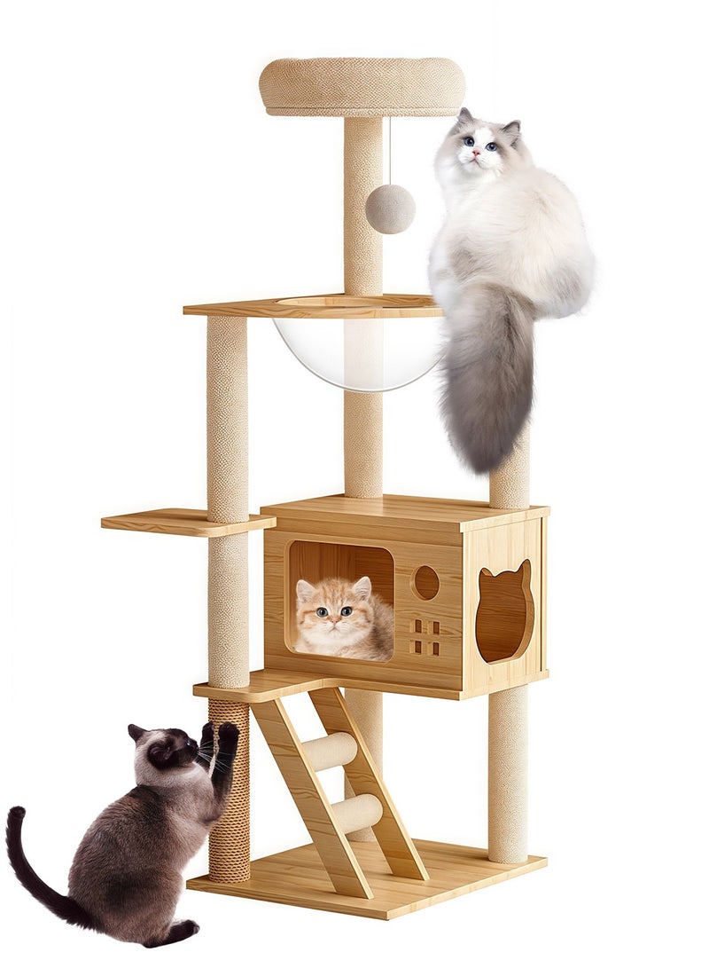 كيدل كبسولة مساحة كبيرة شجرة القطة منزل القطة تسلق الإطار - Image 1