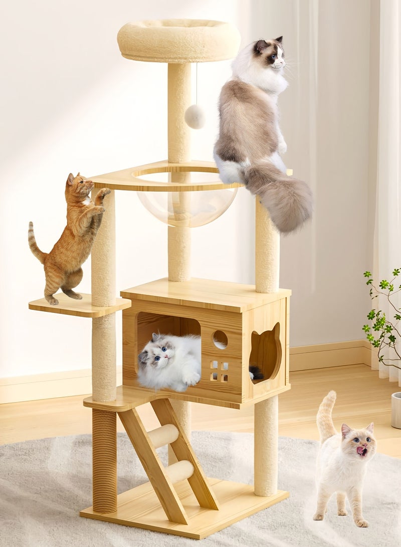 كيدل كبسولة مساحة كبيرة شجرة القطة منزل القطة تسلق الإطار - Image 3