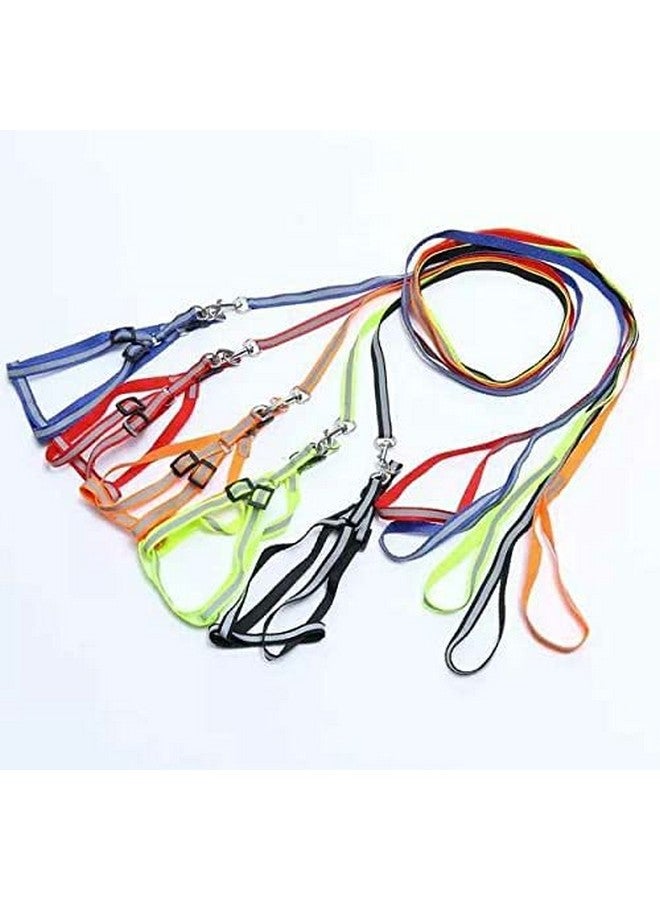 15 Mm Reflective Nylon Dog Harness And Leash Set For Puppies And Dogs (Color May Vary) - Image 3