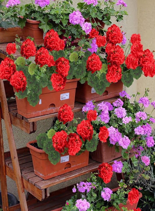 CITYES 8 Pcs Artificial Geraniums Flowers Red Silk Geraniums for Outdoors UV Resistant Fake Geranium Bush Faux Flowers Plants for Planter Garden Home Decor Indoor Patio Vase Table Centerpiece - Image 4