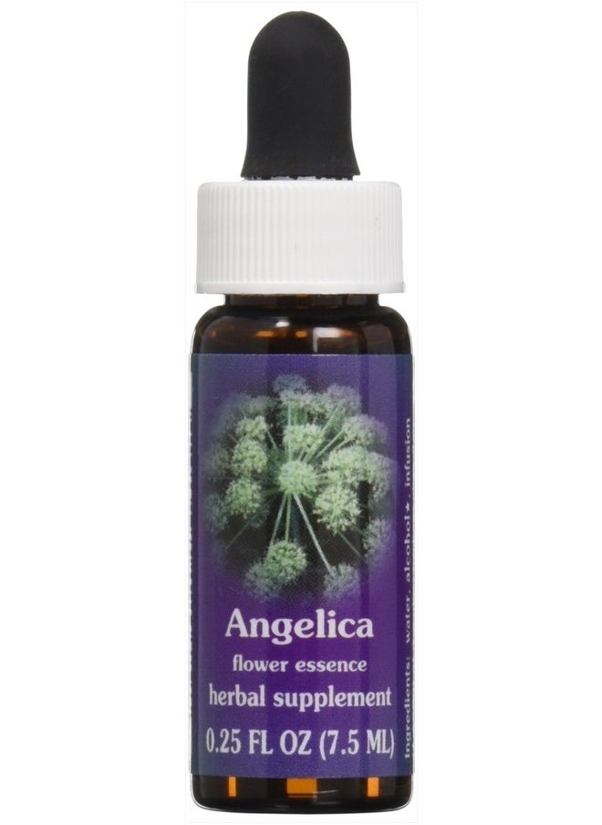 Flower Essence Services Flower Essence Services Angelica Essence, 0.25 Ounce  - Image 1