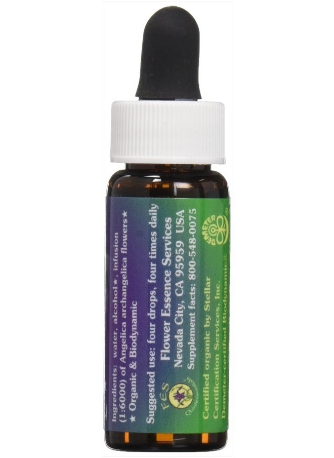 Flower Essence Services Flower Essence Services Angelica Essence, 0.25 Ounce  - Image 2