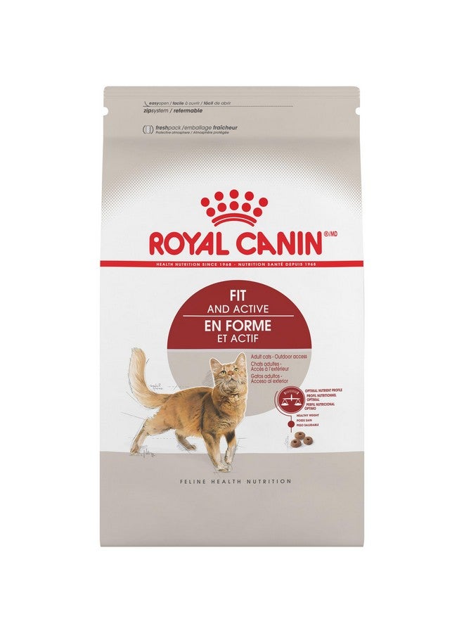 رويال كانين طعام القطط البالغة الجاف من رويال كانين أدلت فيت آند أكتيف، كيس 3 أرطال - Image 1