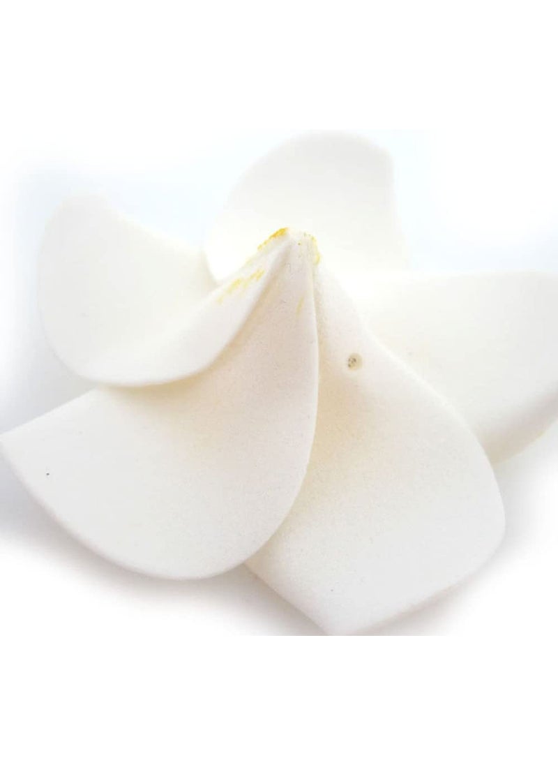 ALEVAN ALEVAN 24 inch Artificial Plumier Rubric Hawaiian Flower Petals Hair Hat Wreath Floral Hawaiian Foam Frangipani Flowers for DIY Home Beach Wedding Party Decoration White 12  - Image 3