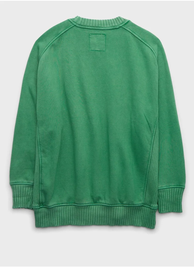 Aerie Crew Neck Sweatshirt