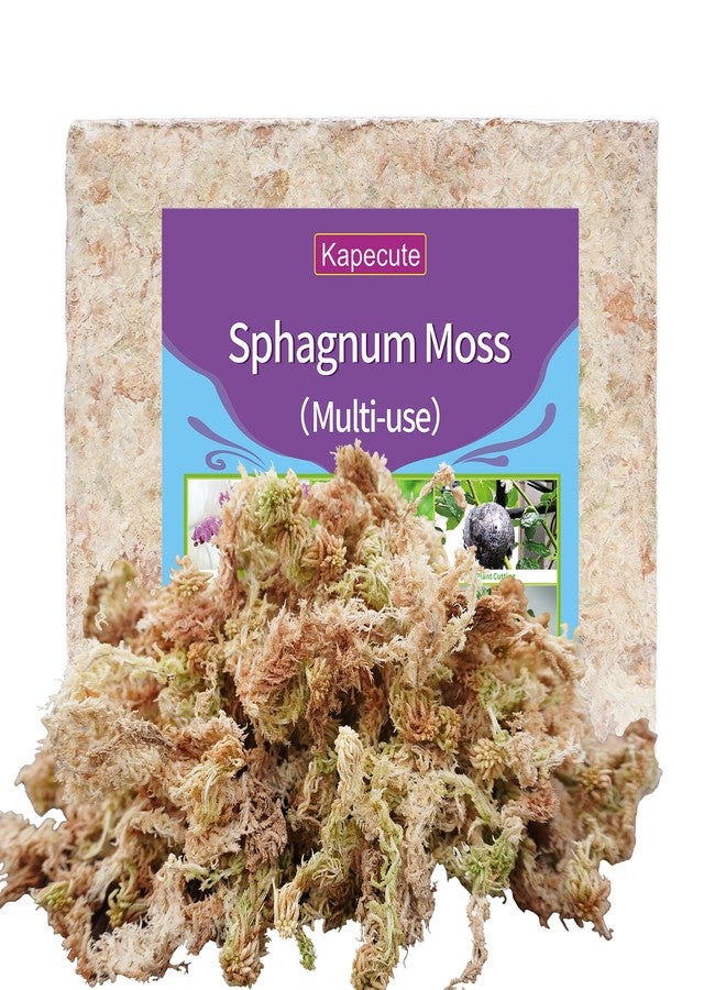 Kapecute Sphagnum Moss 34QT Perfect for Plant Propagation, Great Orchid Potting Mix, Help with Maintain Humidity, 10oz - Image 1