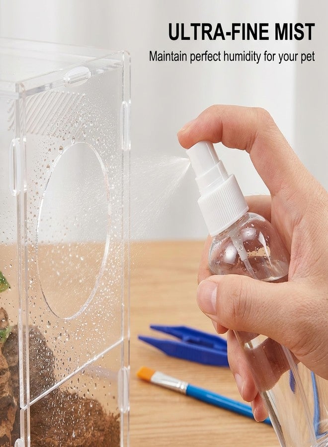 Bmpzery Jumping Spider Accessories Kit 5 Pcs,Spider Enclosure Starter Kit with Bottle,2 Soft Paint Brushes for Gentle Handling & 2 Plastic Feeding Tweezers for Care Tools - Image 3