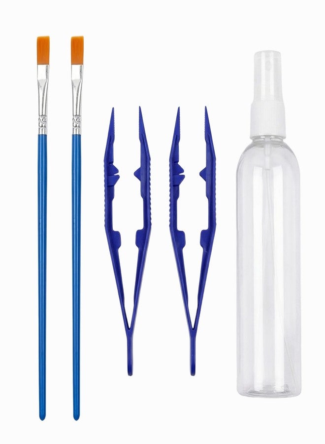 Bmpzery Jumping Spider Accessories Kit 5 Pcs,Spider Enclosure Starter Kit with Bottle,2 Soft Paint Brushes for Gentle Handling & 2 Plastic Feeding Tweezers for Care Tools - Image 1