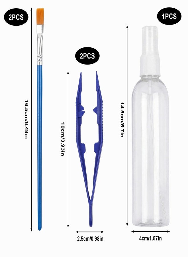 Bmpzery Jumping Spider Accessories Kit 5 Pcs,Spider Enclosure Starter Kit with Bottle,2 Soft Paint Brushes for Gentle Handling & 2 Plastic Feeding Tweezers for Care Tools - Image 2