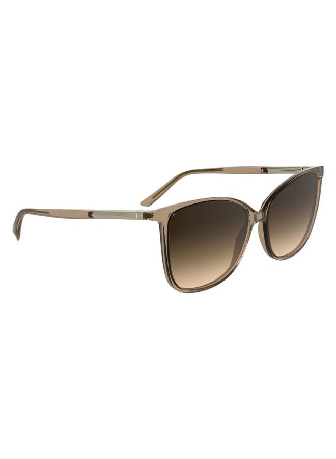 Calvin Klein Butterfly Style Sunglasses - Image 3