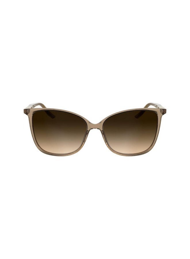 Calvin Klein Butterfly Style Sunglasses - Image 2